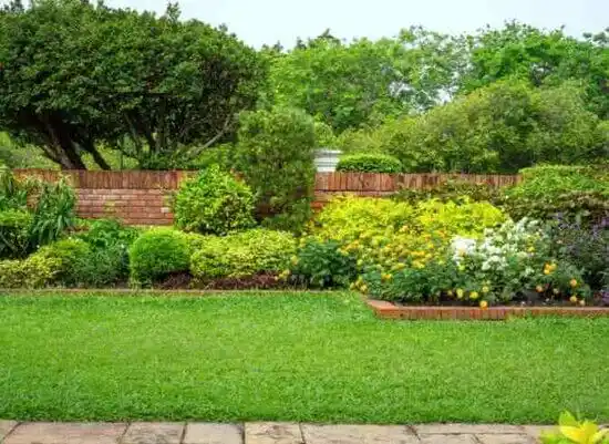 landscaping services Rio Communities